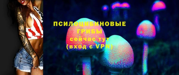 тгк Алексин