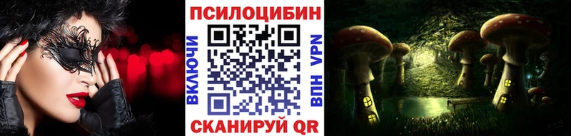 что такое omg ссылка Псилоцибиновые грибы Psilocybe Слободской