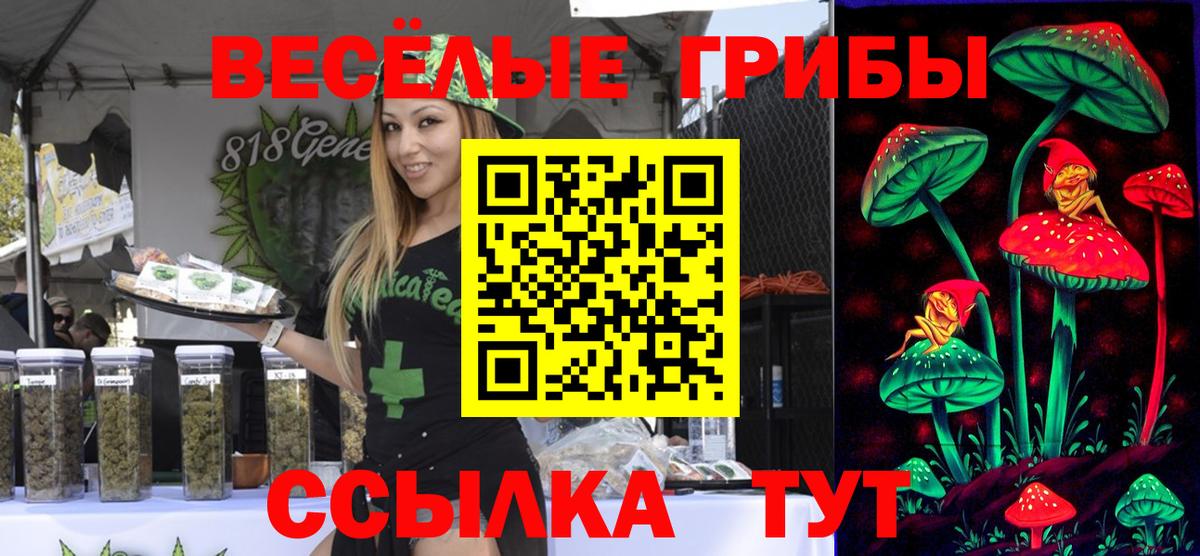 Псилоцибиновые грибы Psilocybe  Вход с VPN  Слободской  Галлюциногенные грибы Cubensis 